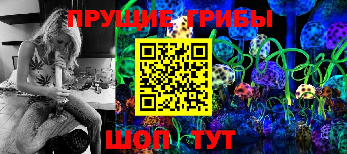Псилоцибиновые грибы Psilocybine cubensis Россия